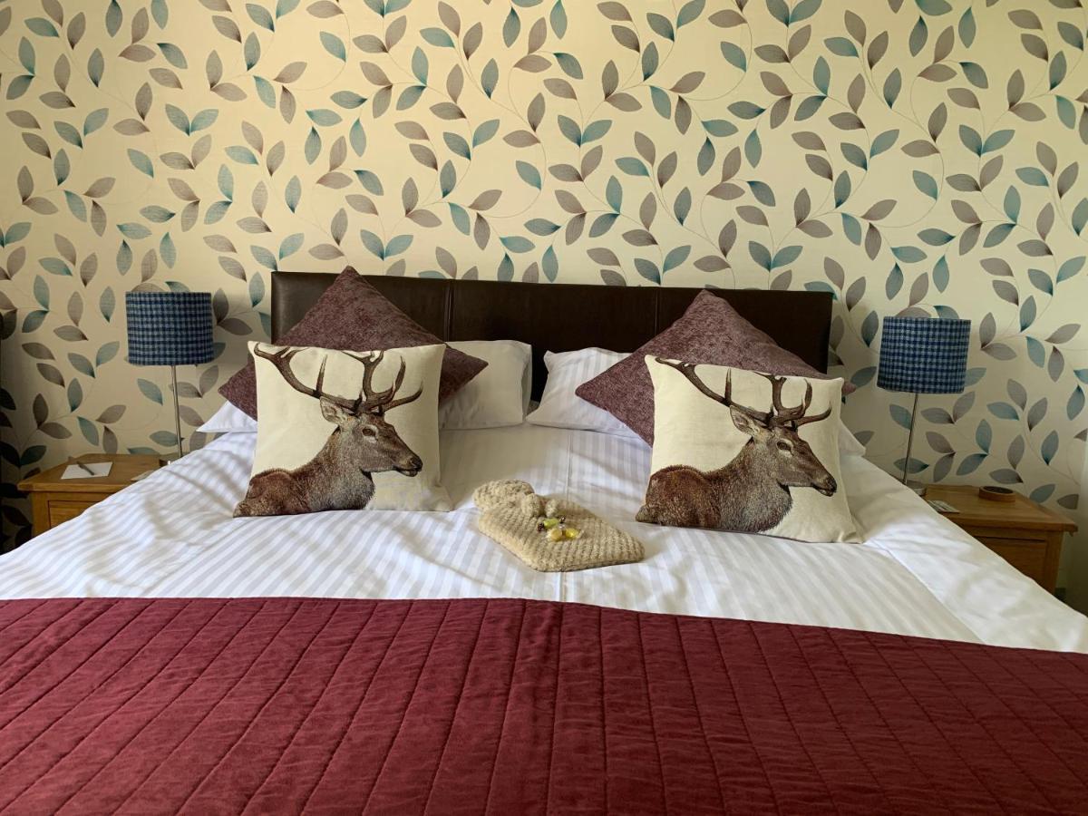 Morlea Bed & Breakfast Дръмнадрочит Екстериор снимка