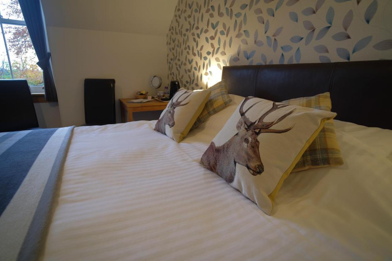 Morlea Bed & Breakfast Дръмнадрочит Екстериор снимка